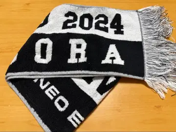 난바 히나 EXPO 머플러 타월