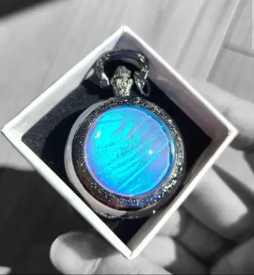 숲의 보석! 진짜 모르포 나비의 깃털 회중시계