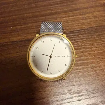 정크제품 SKAGEN 아날로그 쿼츠 손목시계 골드/실버