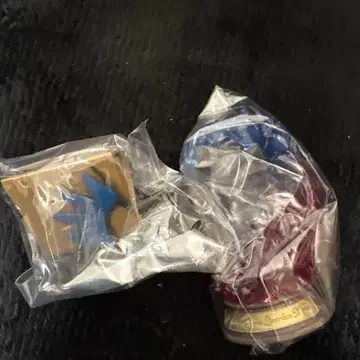 리멘트 포켓몬 스윙 비네트 컬렉션 메가리자몽X