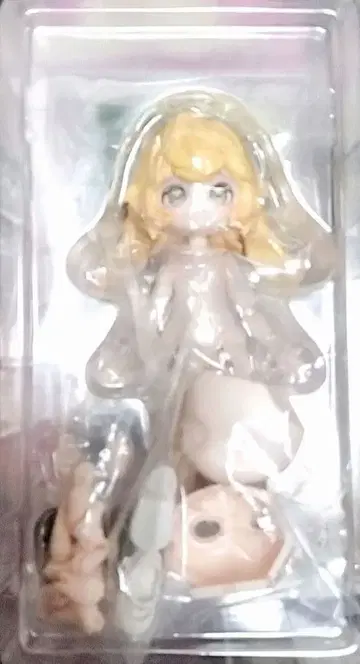 국월 불가식 인형 월비 시간