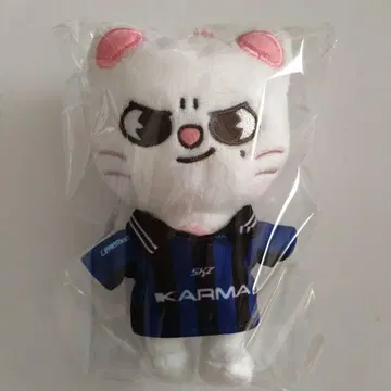 Stray Kids KARMA skzoo ver. 키링 지니레트