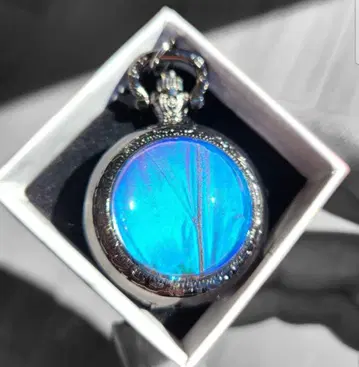 숲의 보석! 진짜 모르포 나비 날개의 회중시계