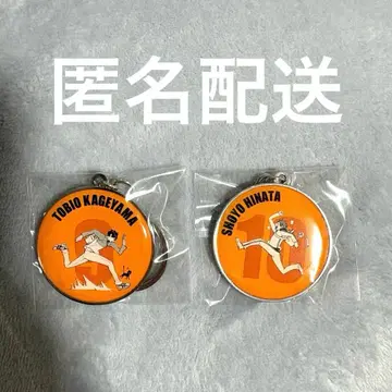 하이큐!! RUN 메탈 키링 컬렉션 히나타 카게야마