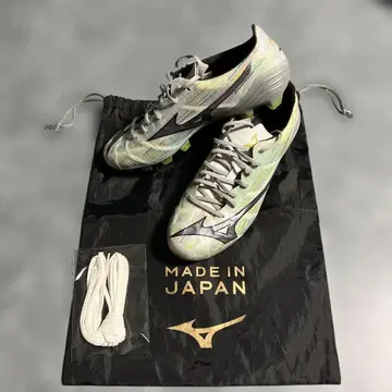 미즈노 알파 II PRO