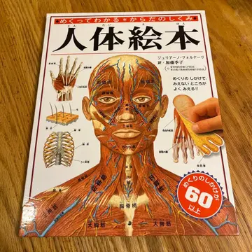 인체 그림책 넘기면서 알 수 있는 몸의 구조