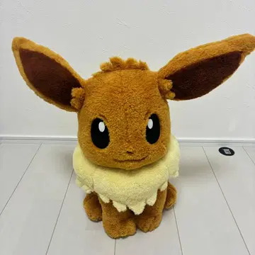 포켓몬 센터 피카피카 박스 2026 클래식 보아 봉제 인형 이브이