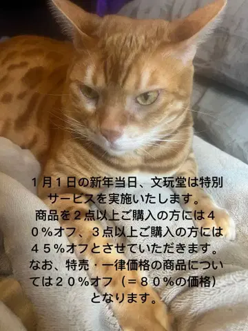 문완당: 신년 특별 캠페인