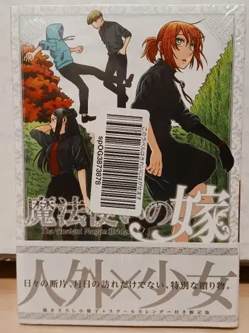 슈링크 미개봉 마법사의 신부 11권 최초 한정판