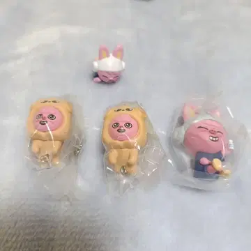 skzoo 돼끼 세트 후아콜로린