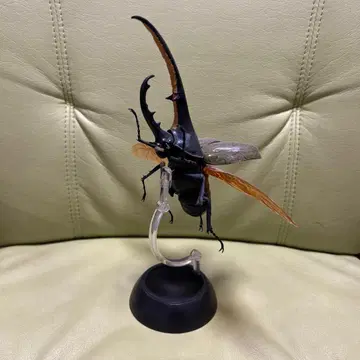 생물대도감 헤라클레스 장수풍뎅이 황갈색