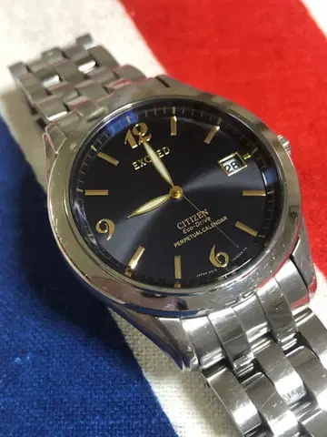 CITIZEN EXCEED 퍼페츄얼 달력