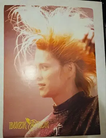 BUCK-TICK 포스터 A1 사쿠라이 아츠시