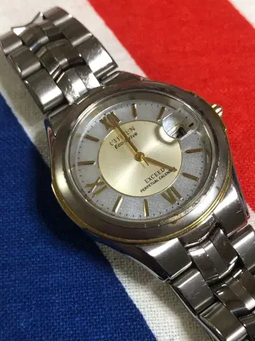 CITIZEN 엑시드 퍼페츄얼 달력