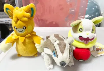 포켓몬 피카피카박스 2026