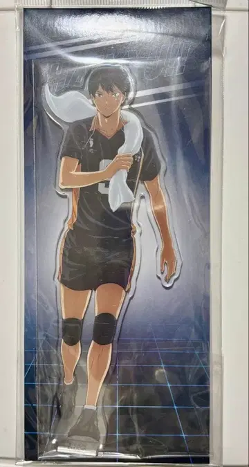 [하이큐!!] 아크릴 스탠드 4 카게야마 토비오