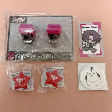 와타라이 히바리 캔뱃지 린라이 폴라로이드