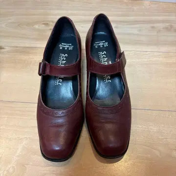 Schneider 버건디 가죽 펌프스 사이즈 5