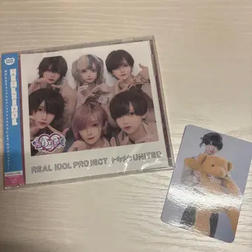 러브시크 태양 트레이딩 카드 & CD 러브시크 ver. 미개봉