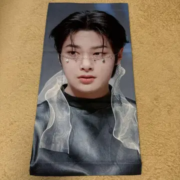 아이엔 straykids 슬로건