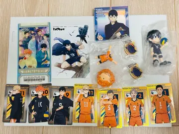 하이큐 카라스노 히나타 카게야마 츠키시마 사와무라 스가와라 다나카