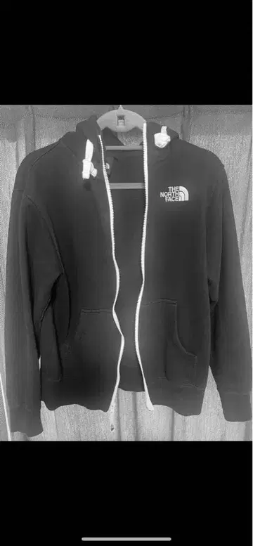 THE NORTH FACE 리어뷰 풀 지퍼 후디