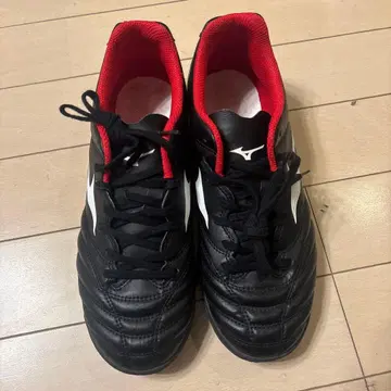 모나르시다 NEO 3 SELECTAS 24.5cm