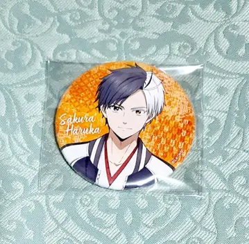 WIND BREAKER 스카잔 ver.