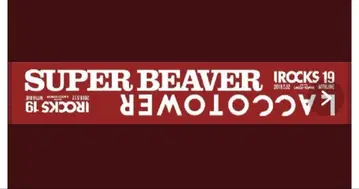 SUPERBEAVER x LACCOTOWER 타월 IROCKS 2019