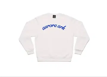 BUMP OF CHICKEN aurora ark 맨투맨 L