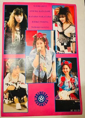 프린세스 프린세스 포스터 A1 사이즈