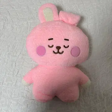 BT21 COOKY 봉제 인형