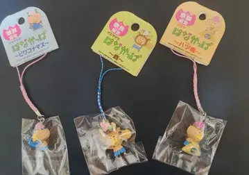 하나캇파 지역 스트랩 3개 세트 나라 시가 교토