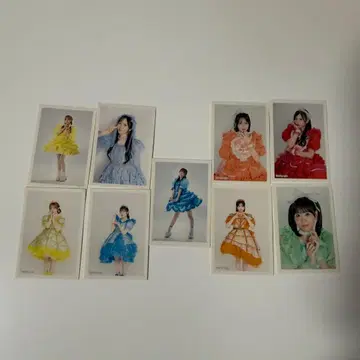 FRUITSZIPPER 스티커 세트