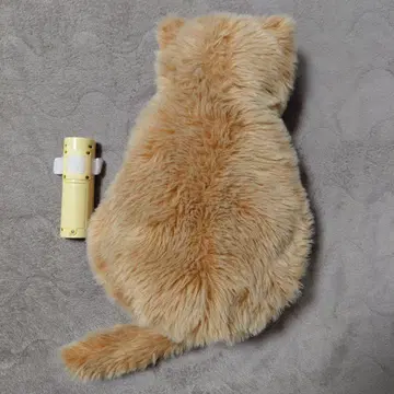 meowever 미아우에버 애프리콧 브라운