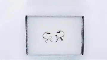 ium 시든 장미 귀걸이