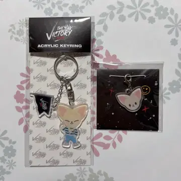 straykids 폭시니 미니 참 키링 skzoo