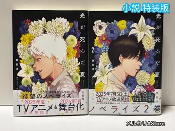 빛이 죽은 여름 소설 특장판 1권 2권