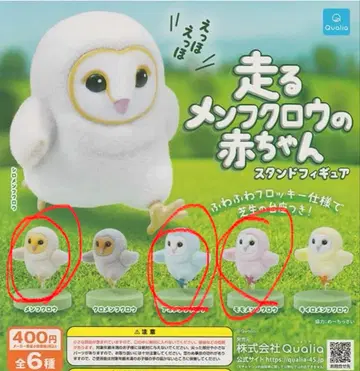 수리부엉이 아기 스탠드 피규어 3종 세트