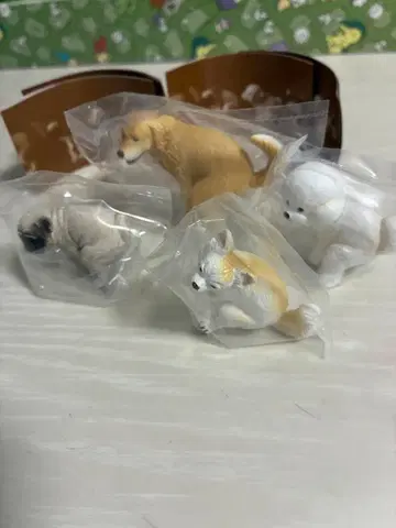 굼벵이2 종합 세트1