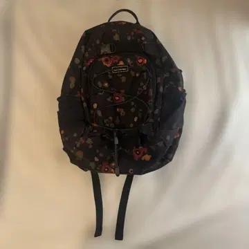 DAKINE 13L 백팩