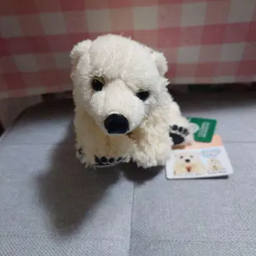 카롤라타 리얼 애니멀 패밀리 북극곰 어린이 봉제 인형