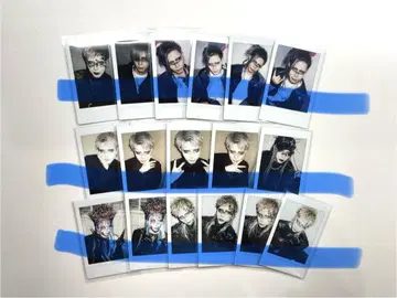 XANVALA 타츠미 폴라로이드 잔바라 17장