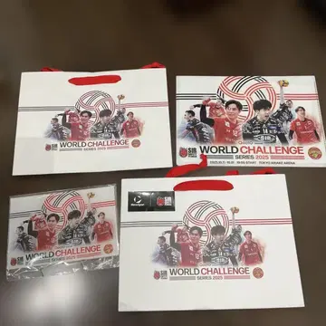 WORLD CHALLENGE SERIES 2025 배구