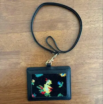 [ 레어 ] 페이러 하이디 패스케이스