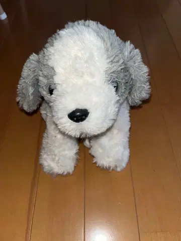 개 강아지 봉제 인형 인형 완구 산리오 가챠가챠