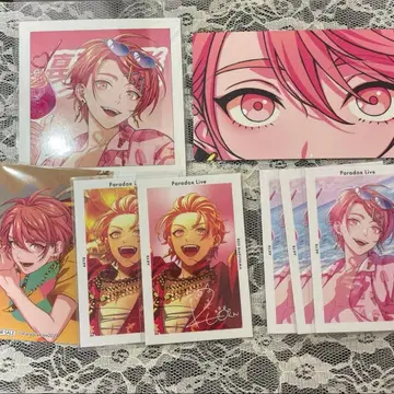 파라라이 마루야마 레오 묶음 판매