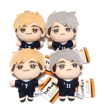 하이큐 세트 묶음 판매