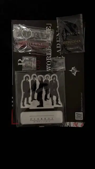 PIERROT ANDROGYNOUS FC 한정판 굿즈 & SS 티켓 사진