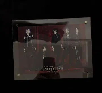 PIERROT ANDROGYNOUS FC 한정판 굿즈 & SS 티켓 사진